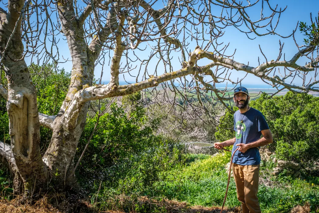 Hands-on Permaculture experience in Southern Spain / Volunteer needed