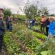 A group of people observing a forest garden bed in the market Garden at Henbant Permaculture Farm