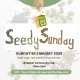 Seedy Sunday poster