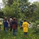 observing young and old trees during the course