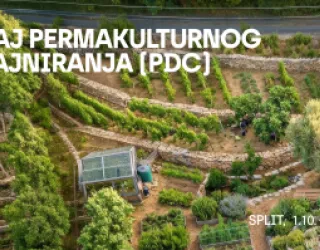 PDC Split