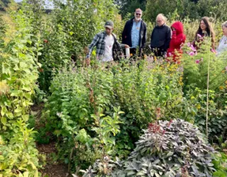 On a sunny day, a small group of people are looking round a garden, with abundant perennial herbs and flowers