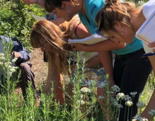 smelling herbs in the herb garden