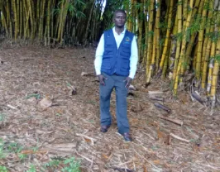 Learning how to use Bamboo for restoration of degraded land areas. PEACE Foundation received a funding to implement a resotration of degraded areas with support from NED Jaquith Foundation and the American bamboo society to project and restore areas, natural resources and wildlife/biodiversity affected by landslides and flooding in the western margin of Uganda. 