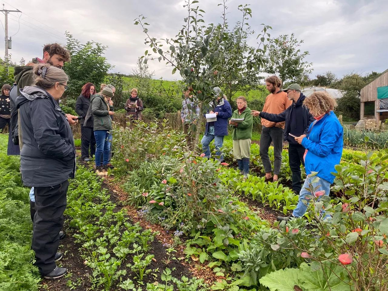 A group of people observing a forest garden bed in the market Garden at Henbant Permaculture Farm