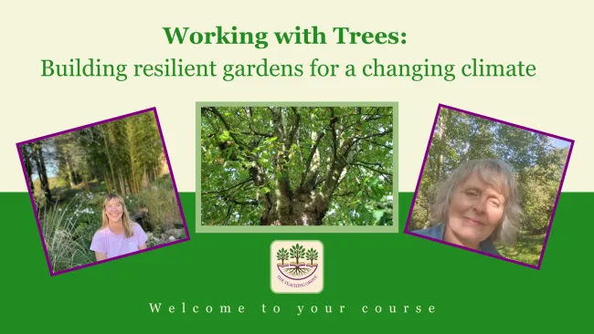 Introduction to the course Working with Trees