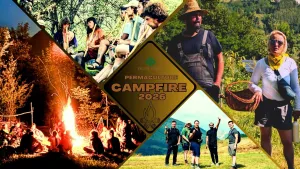 transylvania campfire 2026