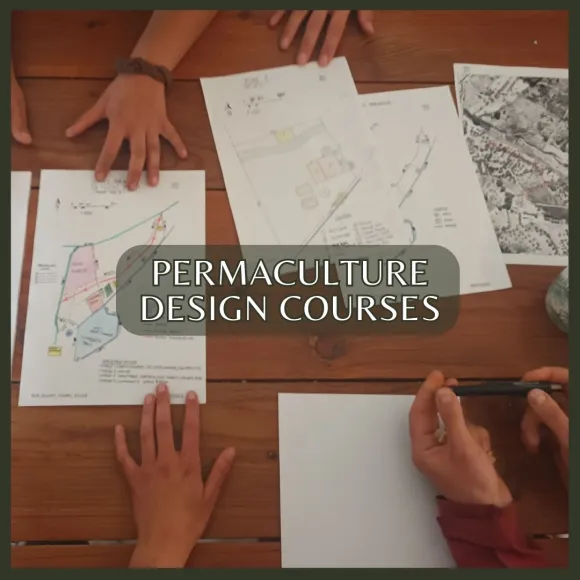 Permaculture Design Course Portugal