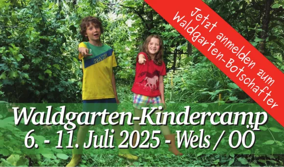 Waldgarten Kindercamp