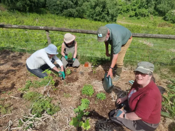 Practical making a forest garden at Applewood