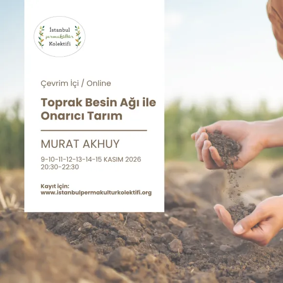 Soil Food Web and Regenerative Agriculture