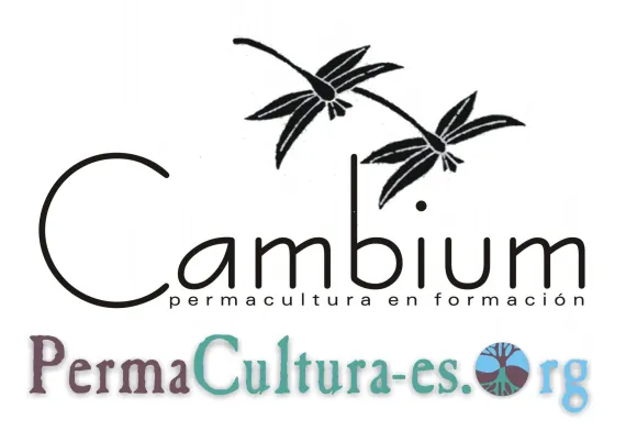 Cambium cambium permacultura en formación