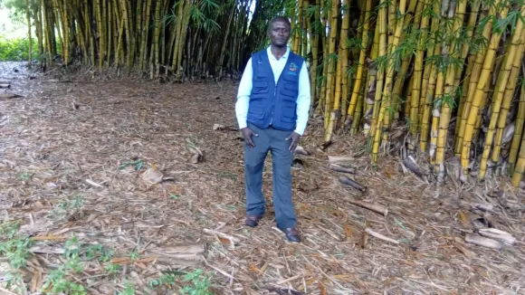 PEACE Foundation Learning from bamboo restoration projects restoring degraded and natural resources. . Learning how to use Bamboo for restoration of degraded land areas. PEACE Foundation received a funding to implement a resotration of degraded areas with support from NED Jaquith Foundation and the American bamboo society to project and restore areas, natural resources and wildlife/biodiversity affected by landslides and flooding in the western margin of Uganda.