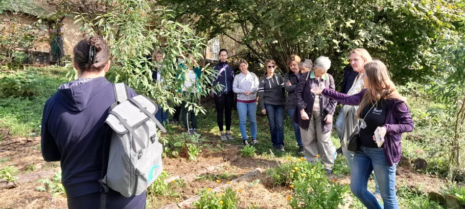 Permaculture with the garden only as a metaphor