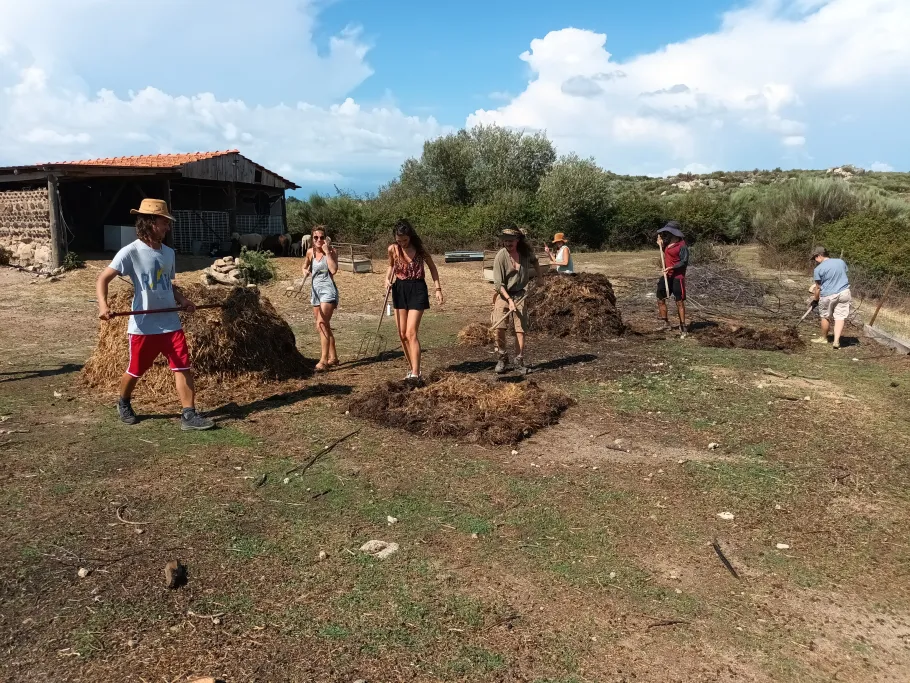 Permaculture Design Course Portugal