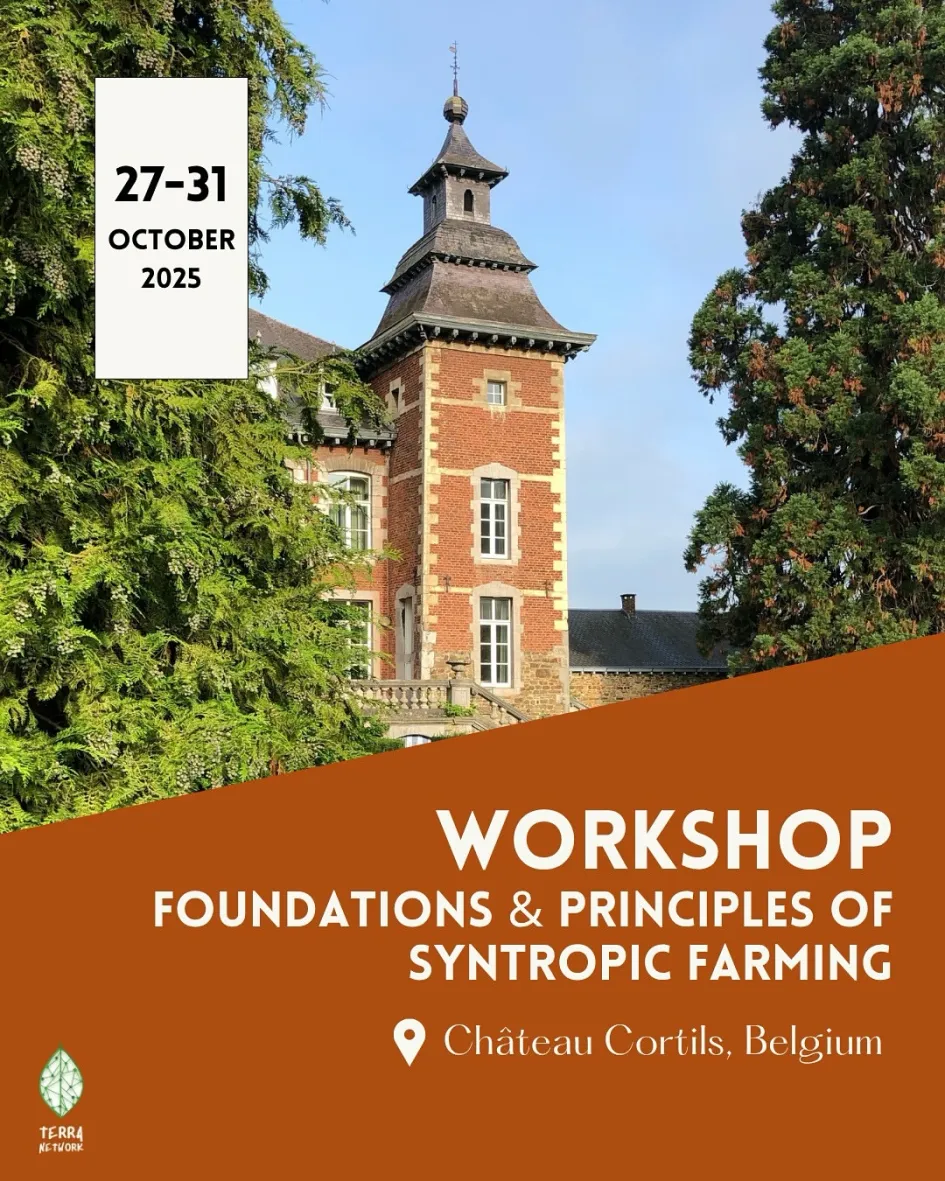 Syntropic workshop