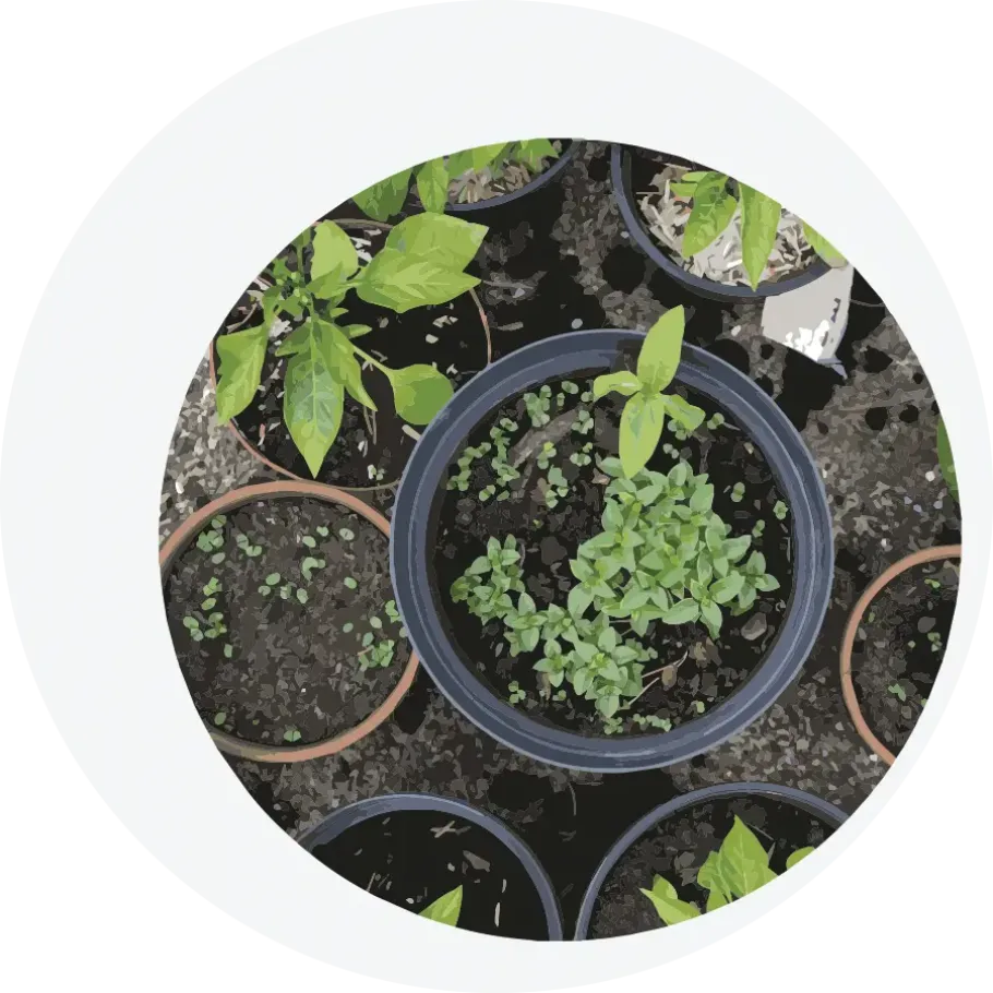 European Permaculture Network