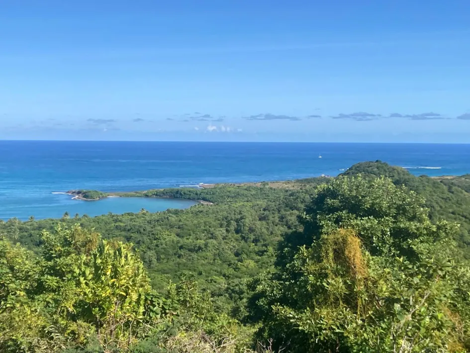 View from the upper part of the land, taking the new road