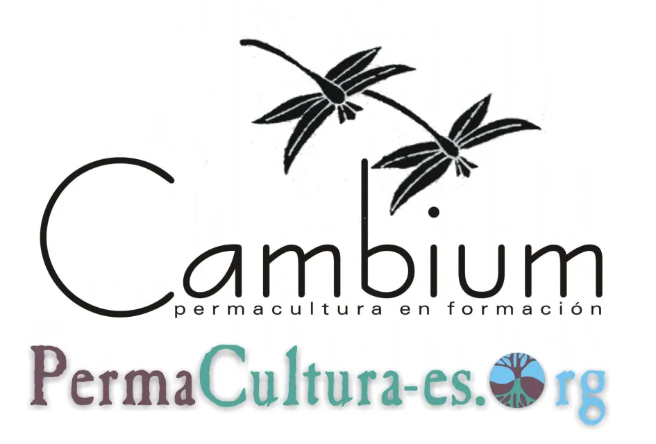 Cambium cambium permacultura en formación