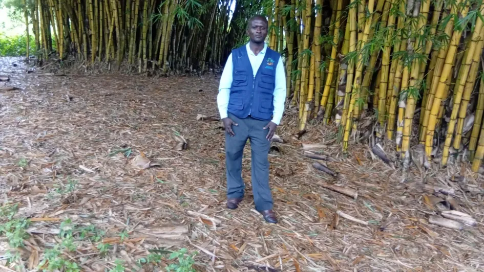 Learning how to use Bamboo for restoration of degraded land areas. PEACE Foundation received a funding to implement a resotration of degraded areas with support from NED Jaquith Foundation and the American bamboo society to project and restore areas, natural resources and wildlife/biodiversity affected by landslides and flooding in the western margin of Uganda. 
