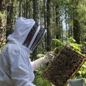 Bee Keeping