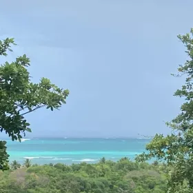 Morning view