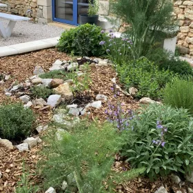 The kitchen herbs garden