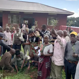 Tree planting campaign lauched by PEACE Foundation in Bundibbugyo district. This was done and is being done to restore watershads and reduce the effects of climate change such as high temperatures, increase the wood population. 