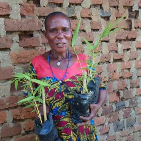 Promoting bamboo growing to save and restore collapsing ecosystems in western Uganda. 