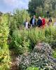 On a sunny day, a small group of people are looking round a garden, with abundant perennial herbs and flowers