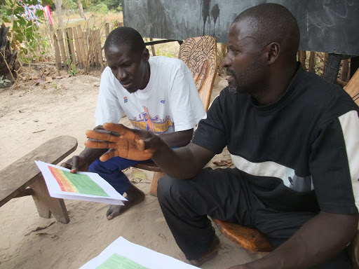 Discussing the curriculum design in Mandinka - the local language that is underneath the colonial languages of French and English which divide the land into The Gambia and Senegal